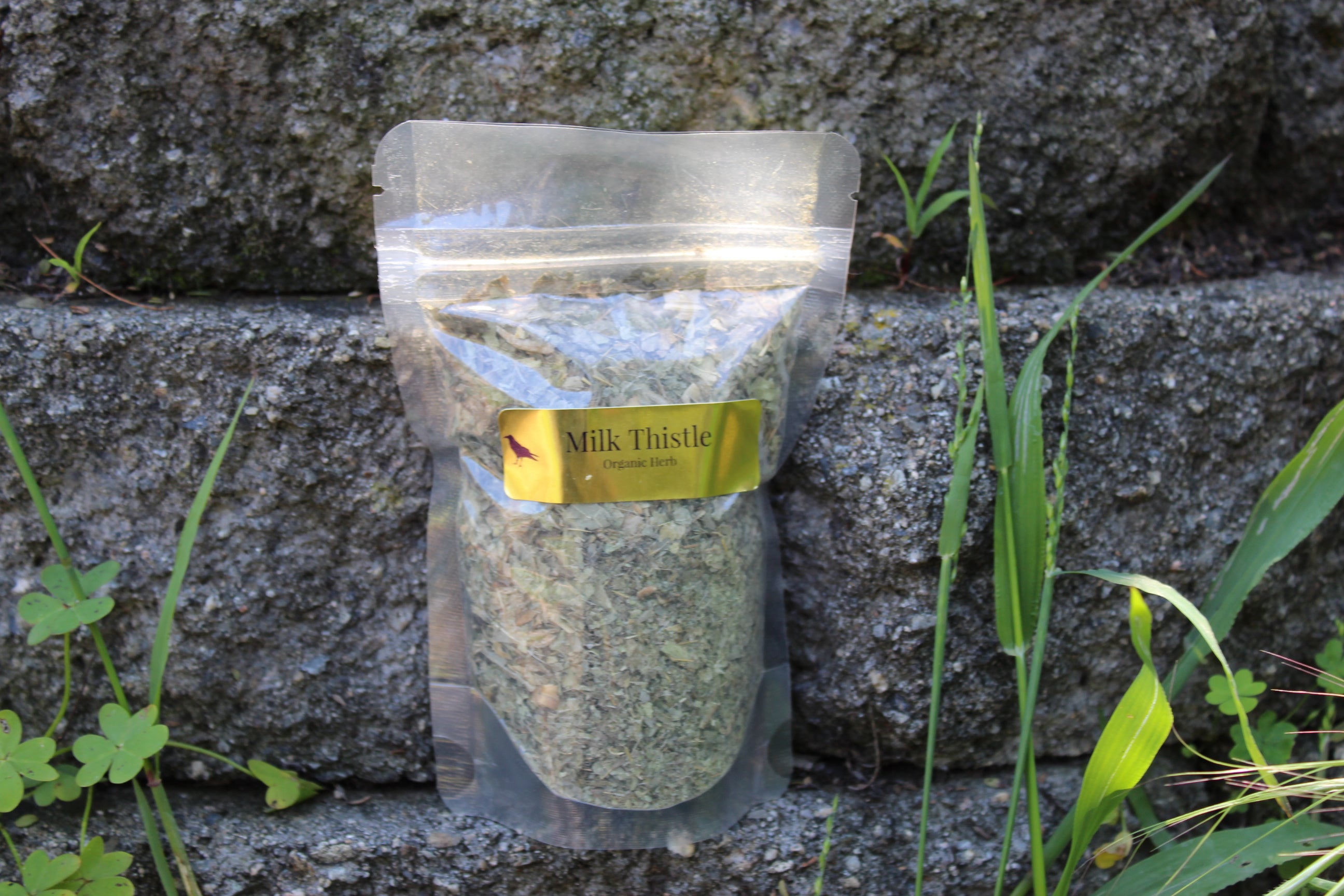 Organic Milk Thistle