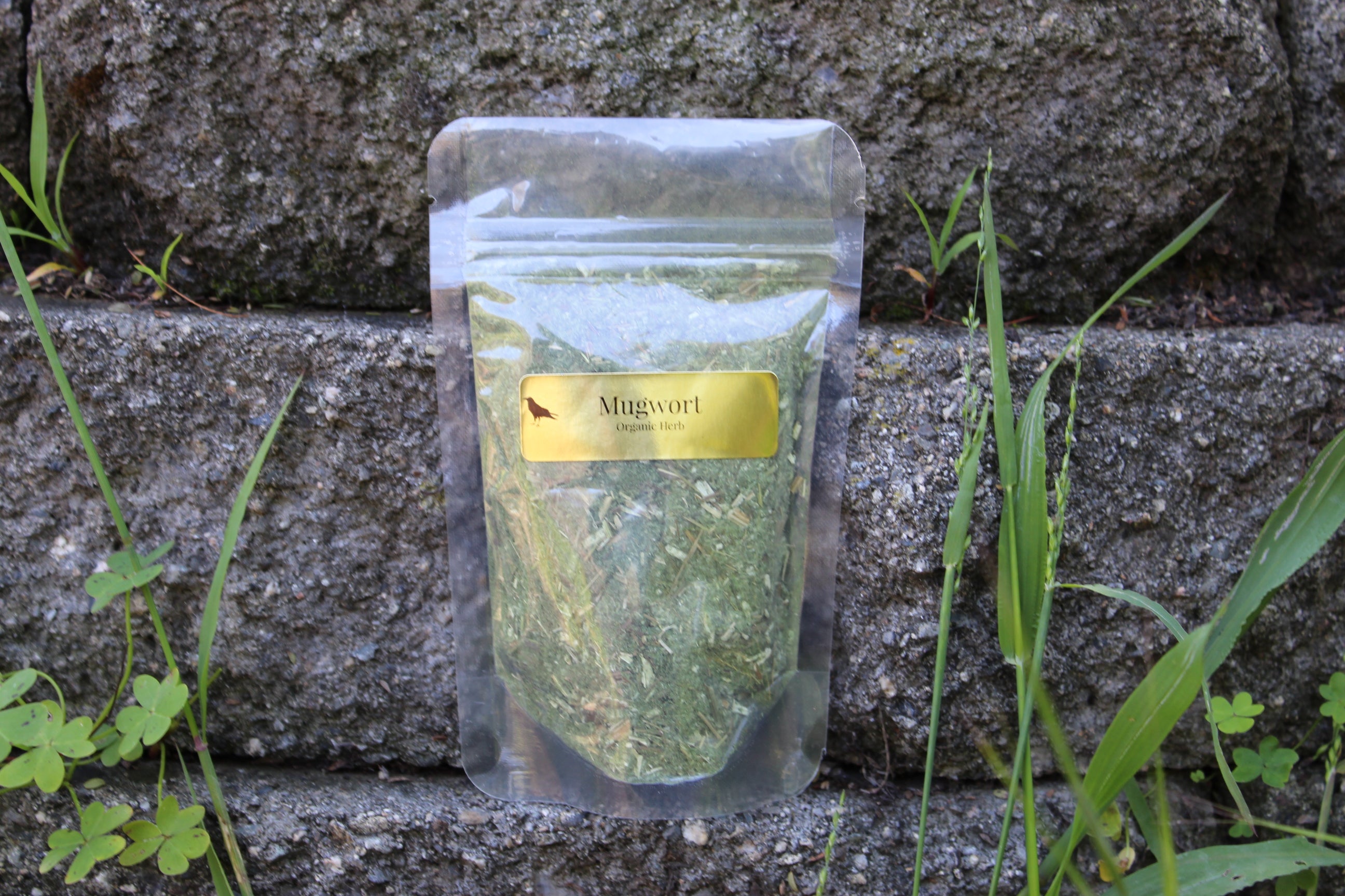 Organic Mugwort