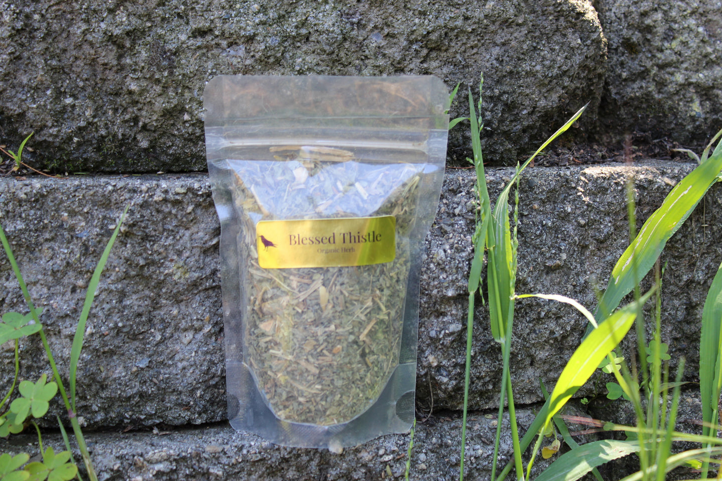 Organic Blessed Thistle