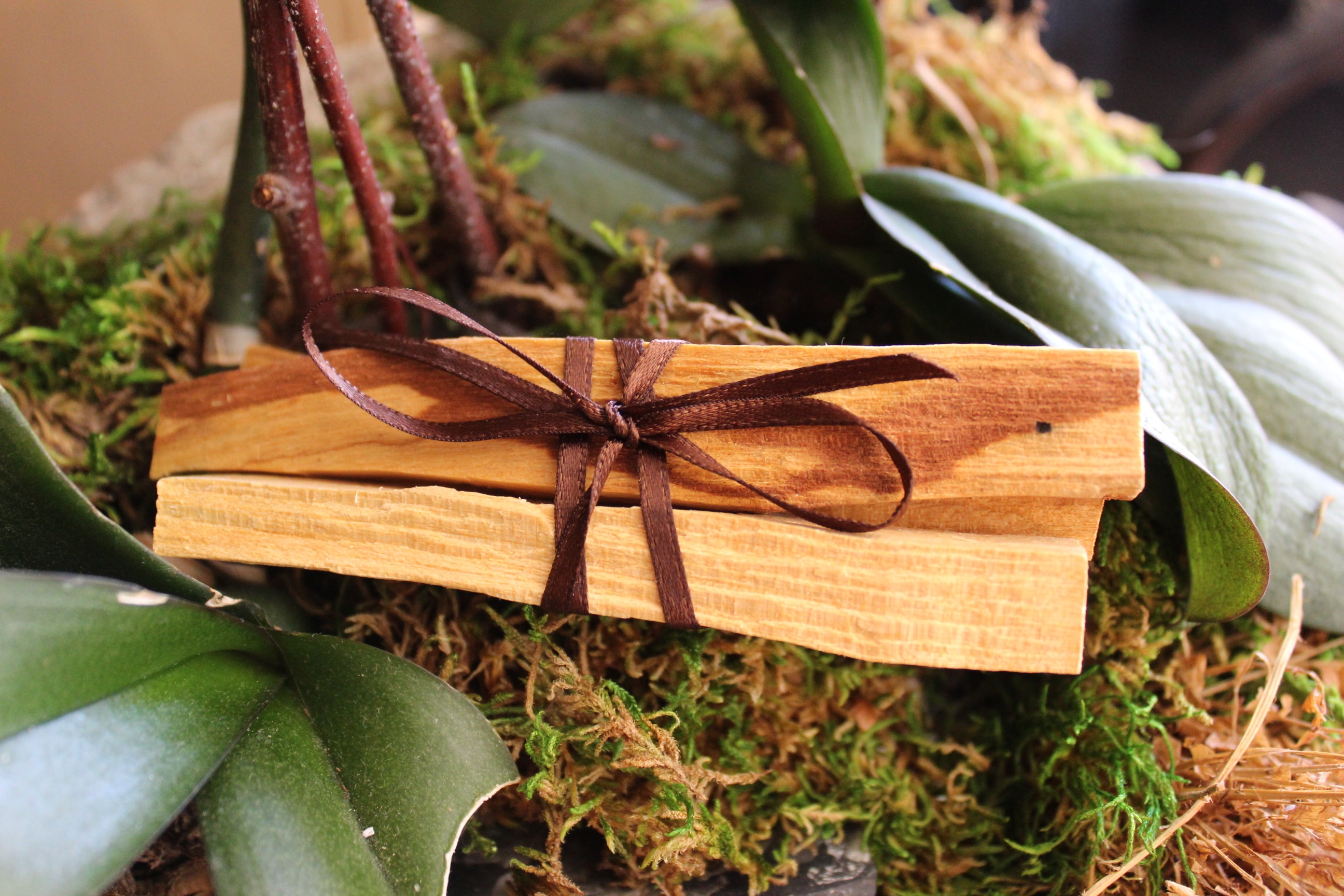 Palo Santo Bundle