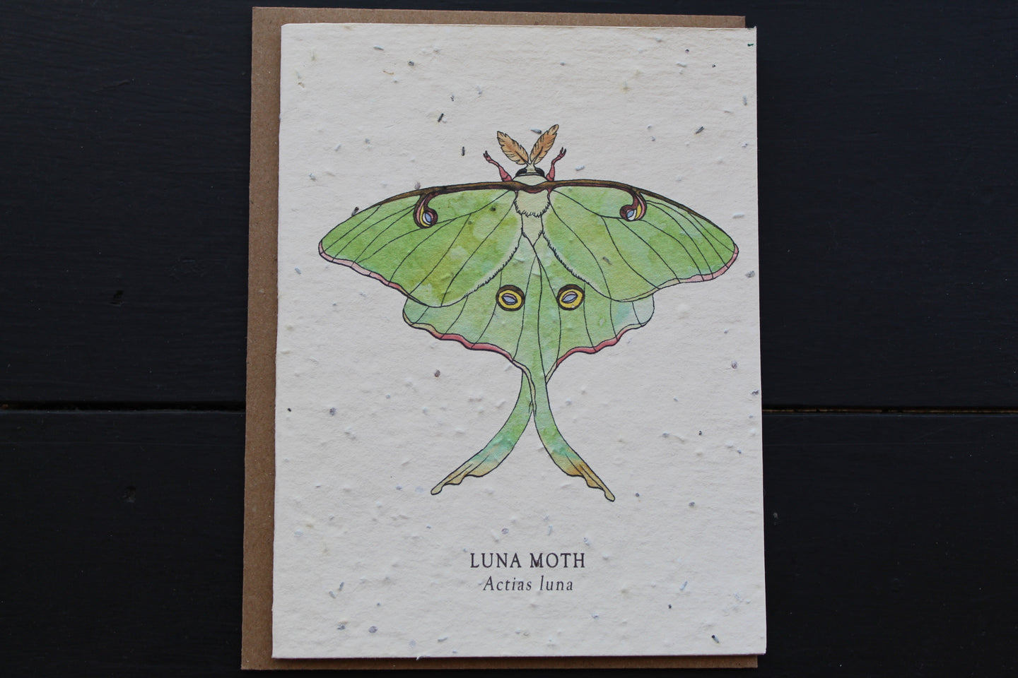 Luna Moth Greeting Card