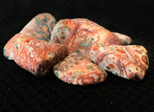 Load image into Gallery viewer, Pink Leopard Jasper
