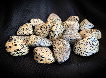 Load image into Gallery viewer, Tumbled Dalmatian Jasper
